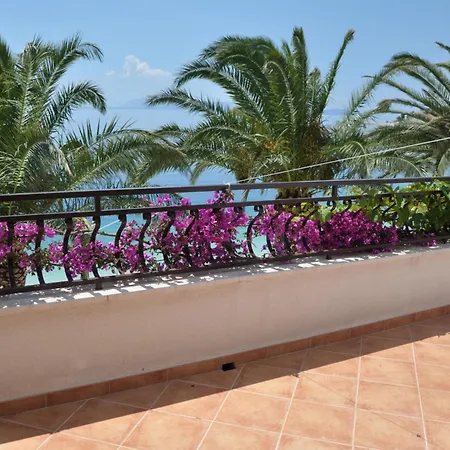 Delfina 2 Проживание в семье *