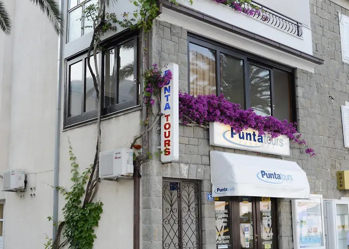 Delfina 2 Ostanak kod kuće *