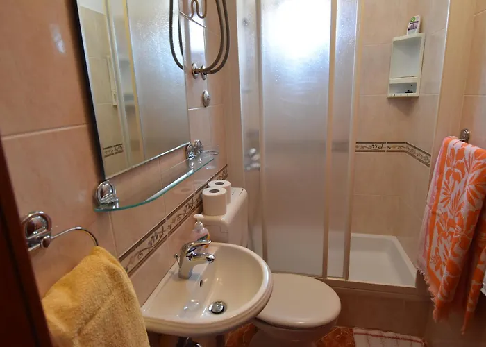 Delfina 2 Ostanak kod kuće